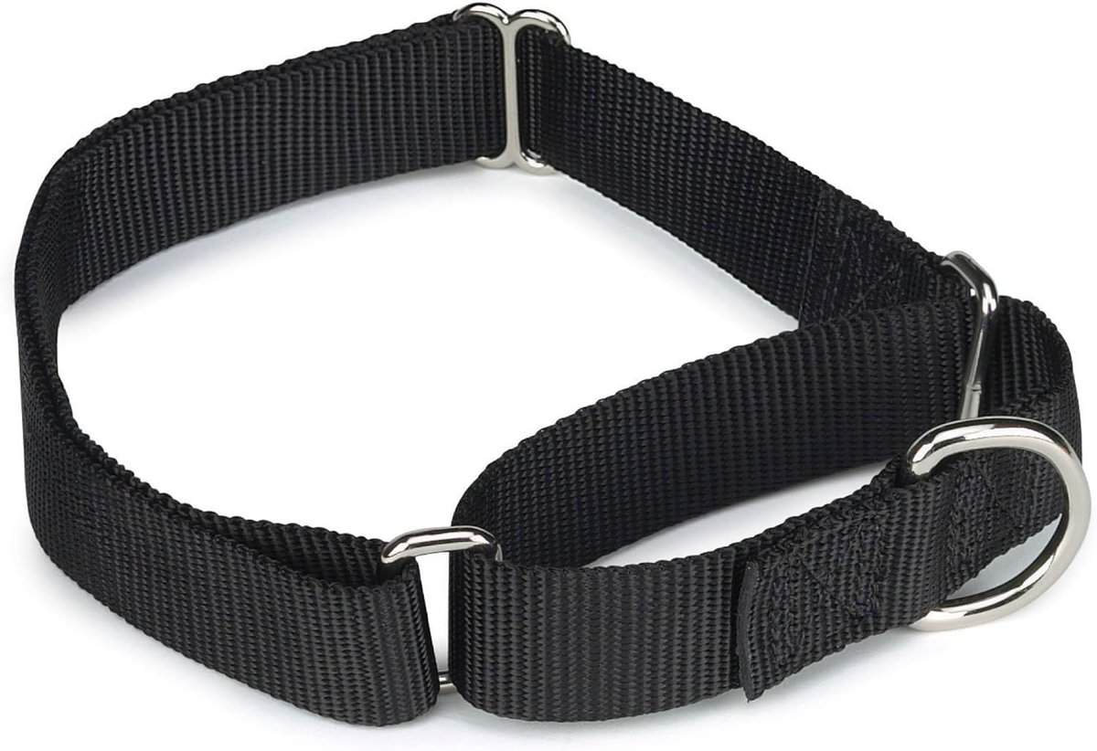 Dog Collar