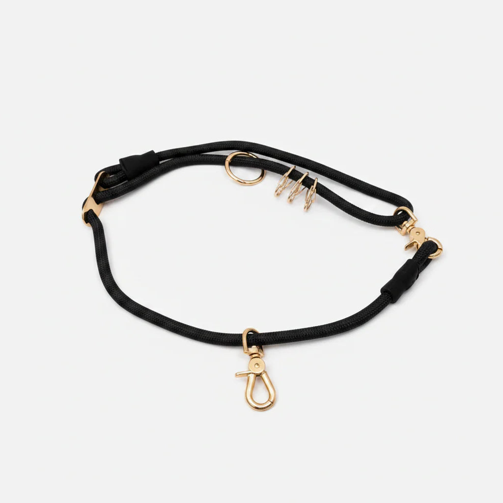 Pet Collar