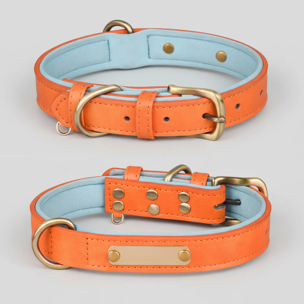 Pet Collar